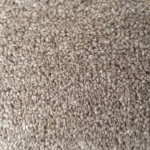 Chamoisee Cornish Twist carpet