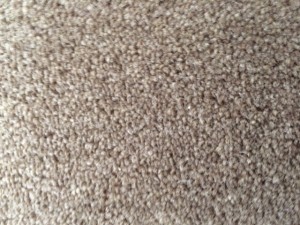 Chamoisee Cornish Twist carpet
