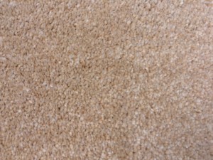 Wheat Grass Cornish Twist carpet