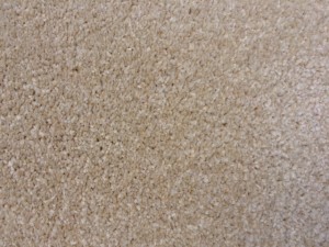 Winterbloom Cornish Twist carpet