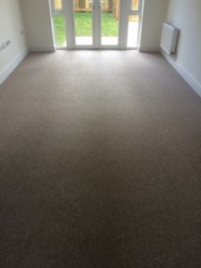 big hit beige carpet     