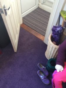 fairfield stripe lilac carpet    